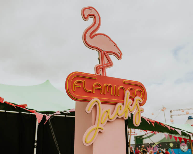 SO MUCH MORE THAN JUST MUSIC 🦩